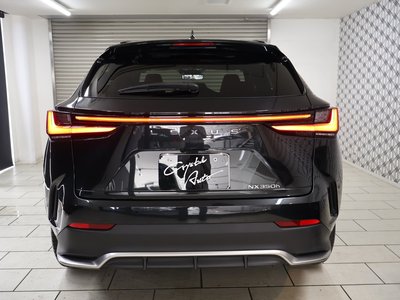 2023 Lexus NX — миниатюра 48
