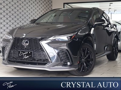 2023 Lexus NX photo 1