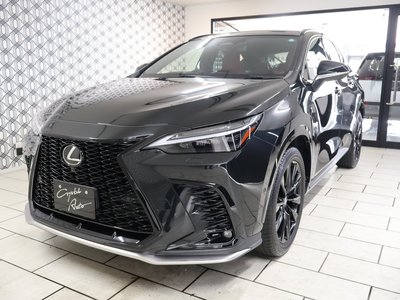 2023 Lexus NX — миниатюра 34