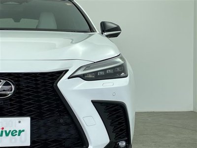 2023 Lexus NX — миниатюра 19