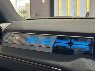 TOYOTA LAND CRUISER 250 - 8