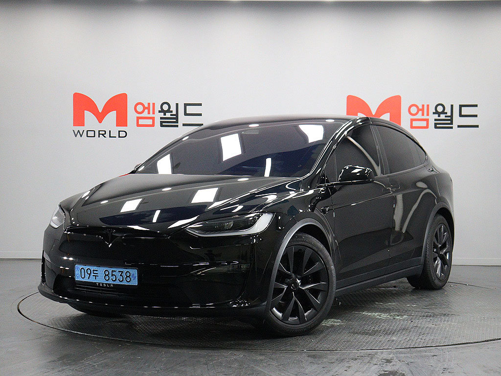 TESLA MODEL X - View 1