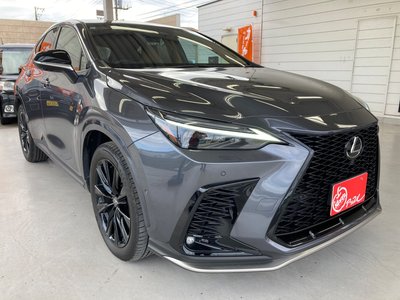 LEXUS NX - 8