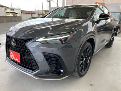 LEXUS NX - 6