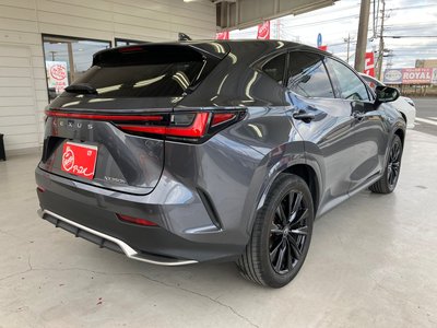 LEXUS NX - 10