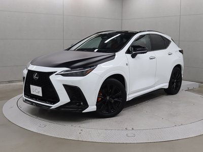 LEXUS NX - 1