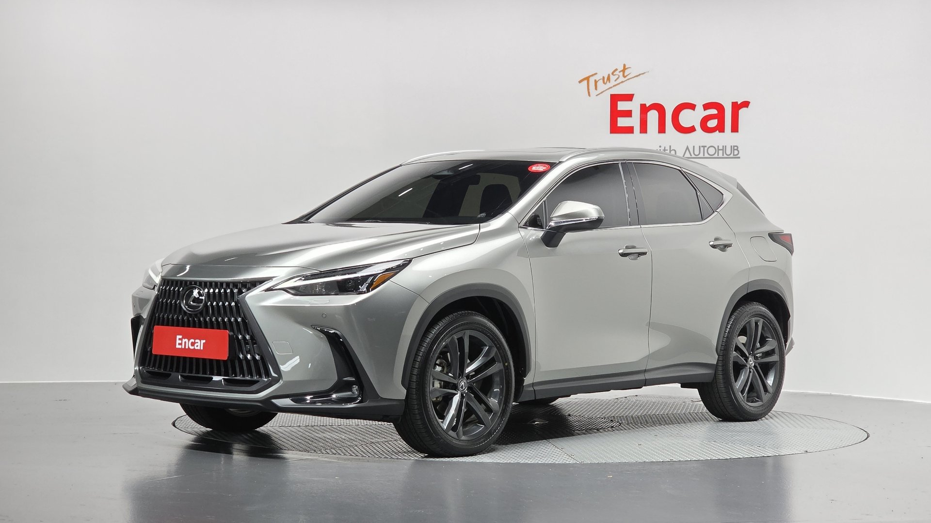 LEXUS NX - View 1