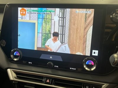2023 Lexus RX 缩略图 53