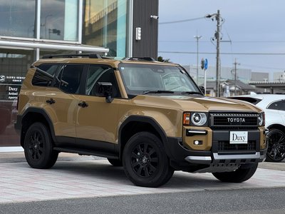 TOYOTA LAND CRUISER 250 - 6