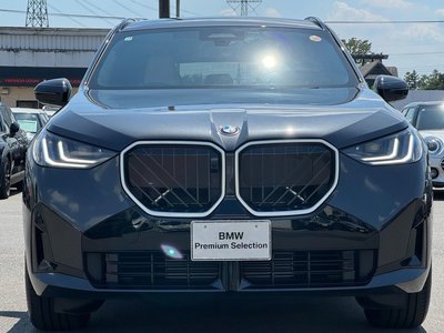 2025 BMW X3 photo 8