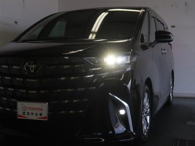 2023 Toyota ALPHARD 缩略图 29