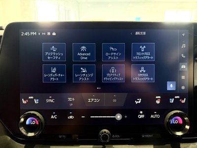 2025 Lexus RX thumbnail 35