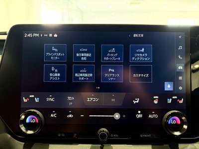 2025 Lexus RX thumbnail 34