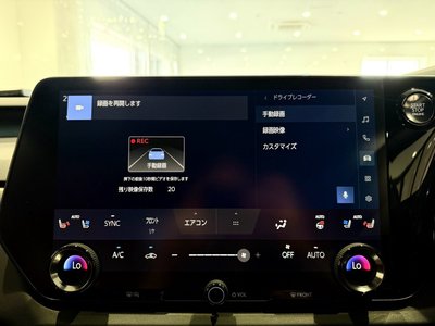 2025 Lexus RX thumbnail 37