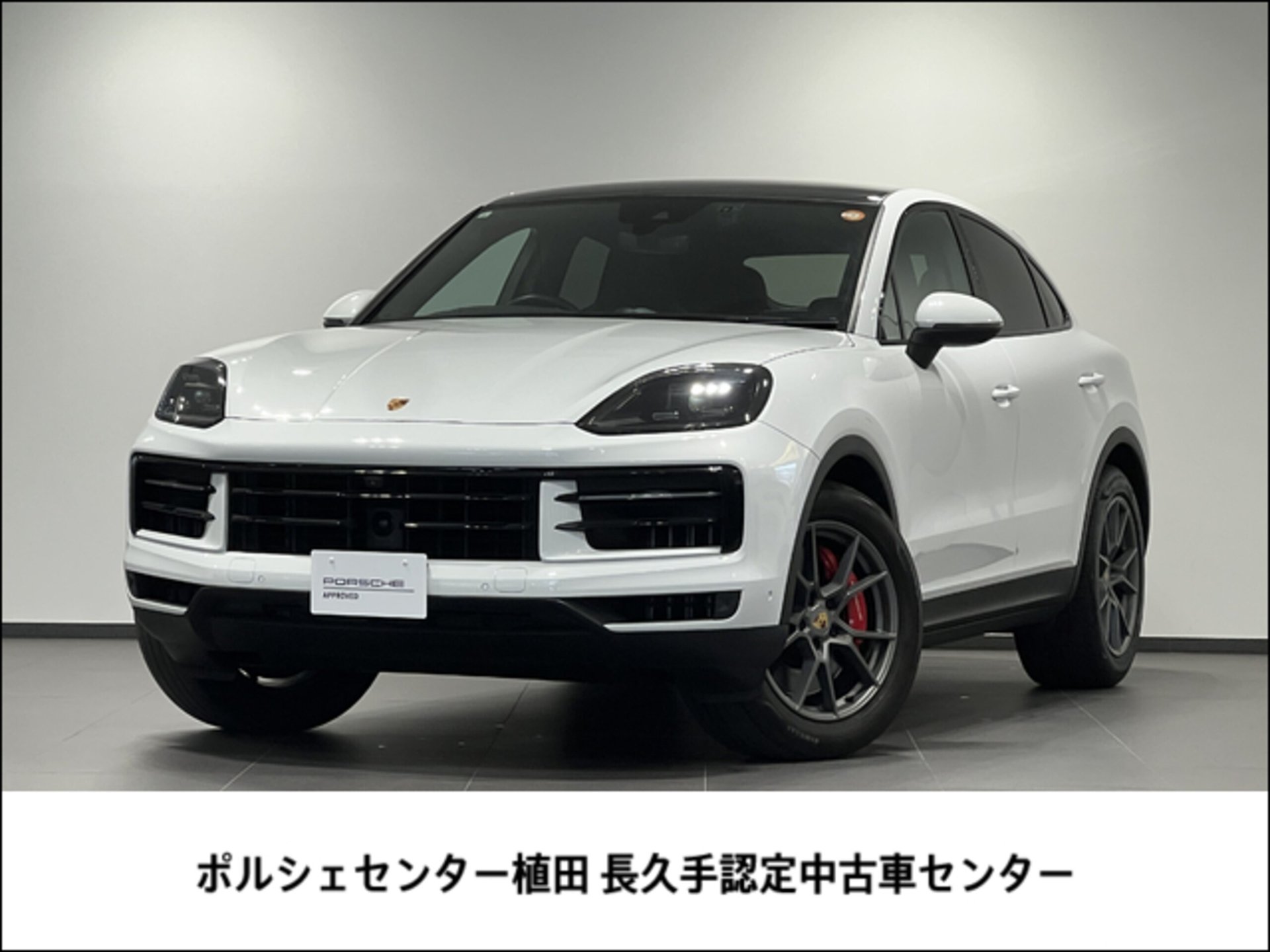 PORSCHE CAYENNE - View 1