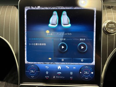 2025 MERCEDES-BENZ C-CLASS 缩略图 24