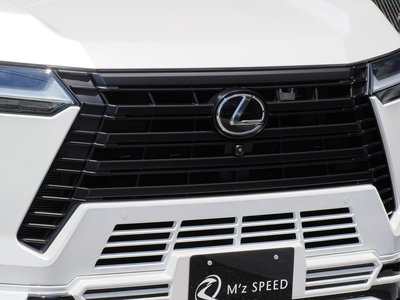 2025 Lexus GX photo 9