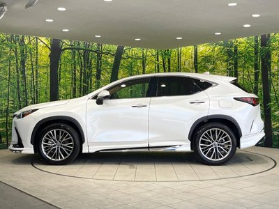 2023 Lexus NX 缩略图 30