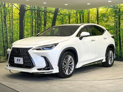 2023 Lexus NX 缩略图 27