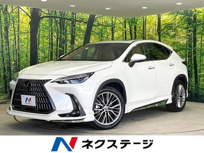 2023 Lexus NX 照片 1