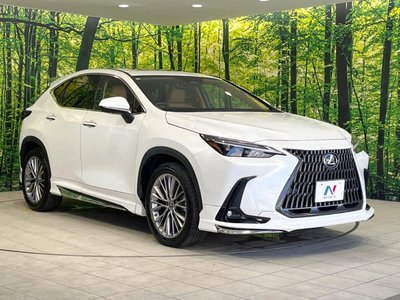 2023 Lexus NX 缩略图 16