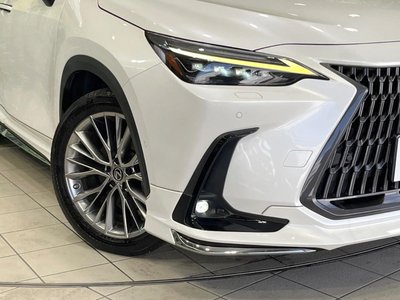 2023 Lexus NX 缩略图 31
