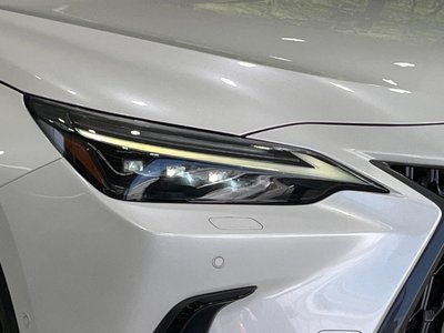 2023 Lexus NX 缩略图 12