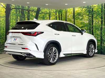2023 Lexus NX 缩略图 17
