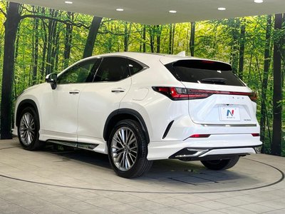 2023 Lexus NX 缩略图 29