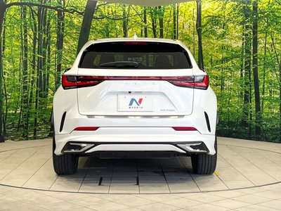 2023 Lexus NX 缩略图 15