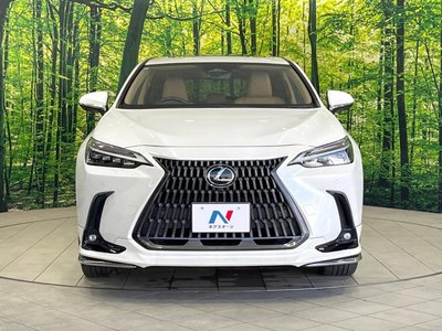 2023 Lexus NX 缩略图 14