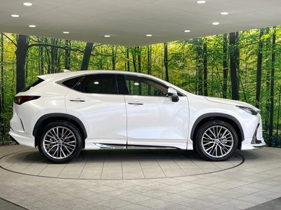 2023 Lexus NX 缩略图 28