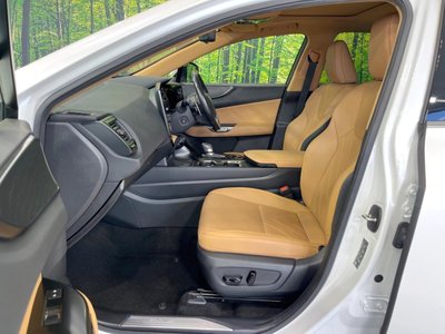 2023 Lexus NX 照片 8