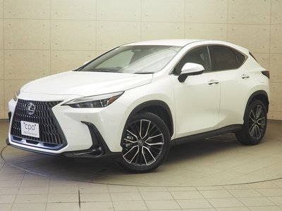 LEXUS NX - 1