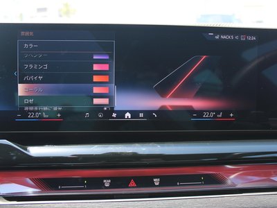 2025 BMW 5 SERIES — миниатюра 91
