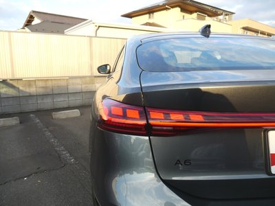 2025 AUDI A6 SPORTBACK E-TRON 缩略图 58