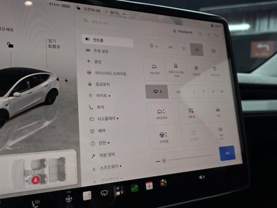 2025 Tesla MODEL Y — миниатюра 24