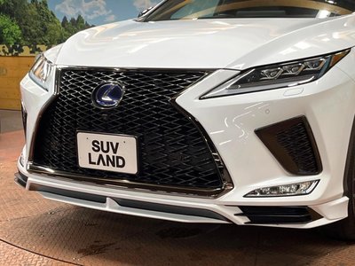 2021 Lexus RX thumbnail 3