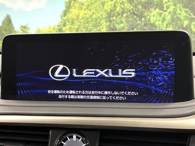2021 Lexus RX thumbnail 5
