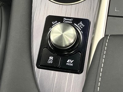 2021 Lexus RX thumbnail 35