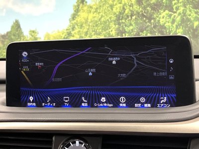 2021 Lexus RX thumbnail 31