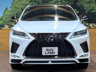 2021 Lexus RX thumbnail 14