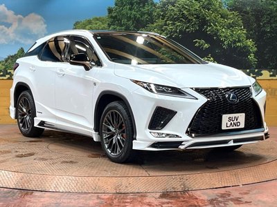 2021 Lexus RX thumbnail 16