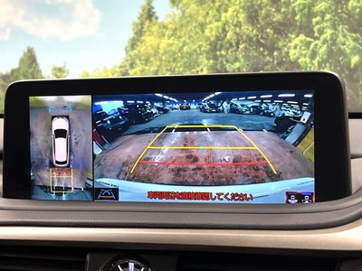 2021 Lexus RX thumbnail 6