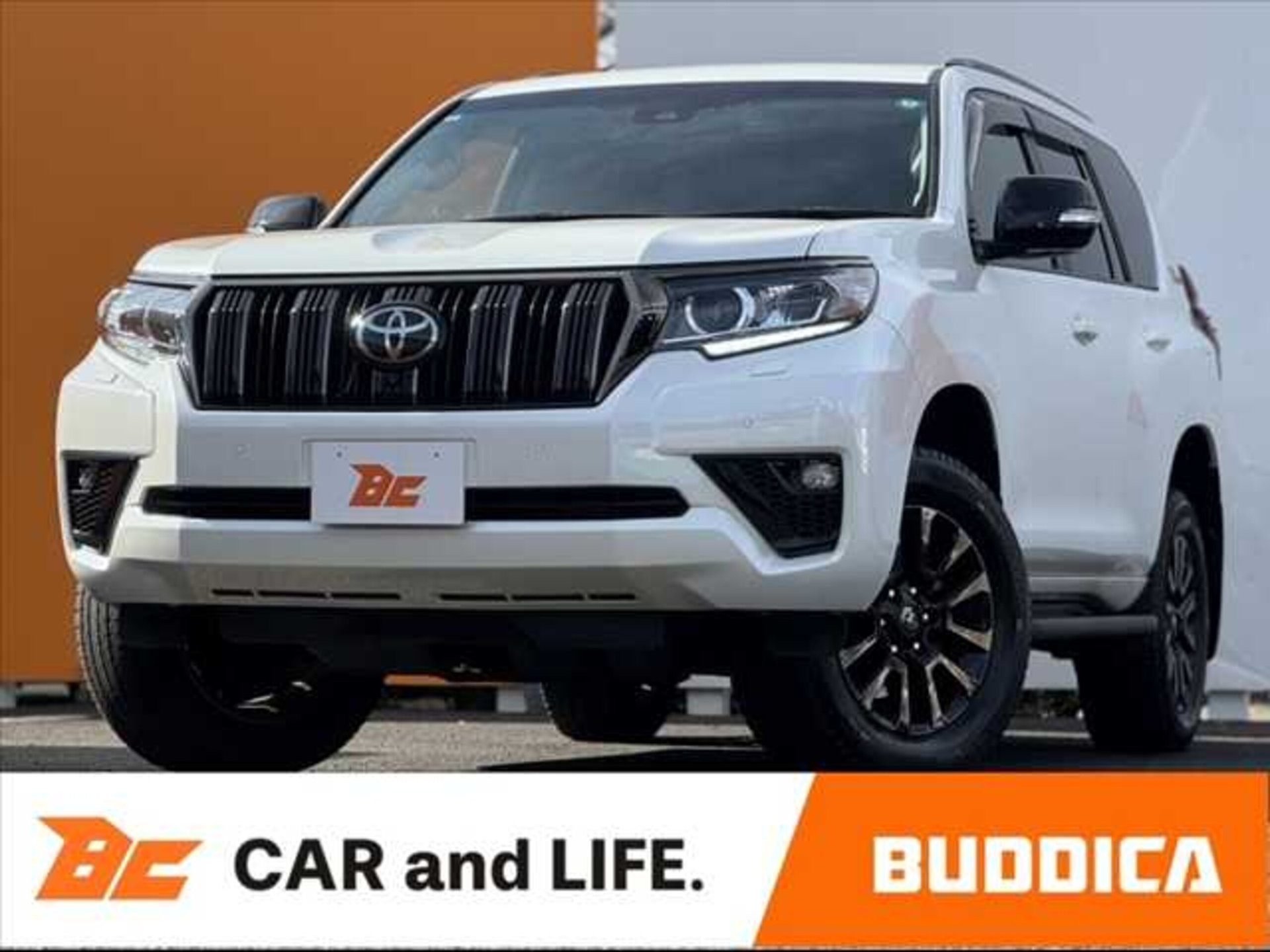 TOYOTA LAND CRUISER PRADO - View 1