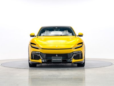 FERRARI PUROSANGUE - 7