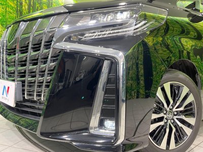 2022 Toyota ALPHARD 缩略图 13