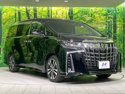 2022 Toyota ALPHARD 缩略图 76