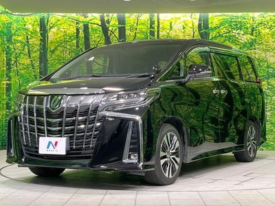 2022 Toyota ALPHARD 缩略图 75