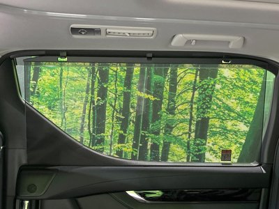 2022 Toyota ALPHARD 缩略图 66